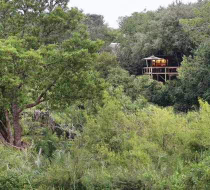 LondoloziTreeCamp-Exterior-ArialVer