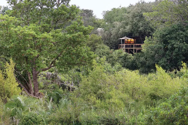 LondoloziTreeCamp-Exterior-ArialView