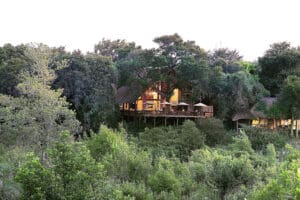 Londolozi Varty Camp en Sabi Sands, Kruger.