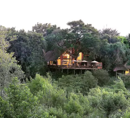 Londolozi Varty Camp en Sabi Sands, Kruger.