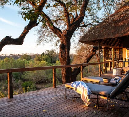Vistas del atardecer en la terraza del Londolozi Varty Camp.