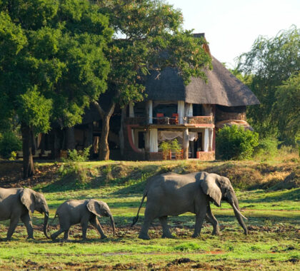 Luangwa Safari House
