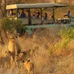 Discover the Big 5 on your game drives in the park.
