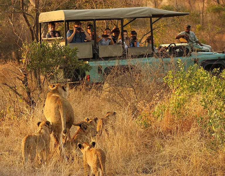 Discover the Big 5 on your game drives in the park.
