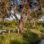 Stop for drinks and snacks on your daily game drives.