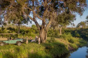 Stop for drinks and snacks on your daily game drives.