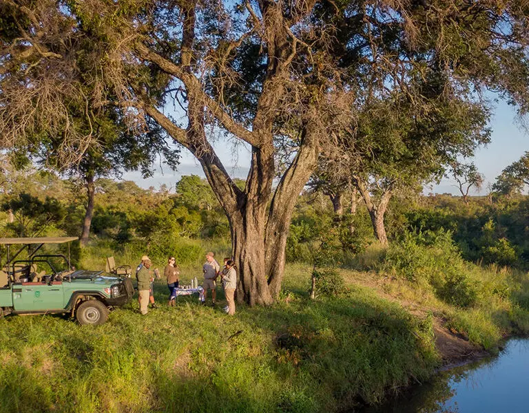 Stop for drinks and snacks on your daily game drives.