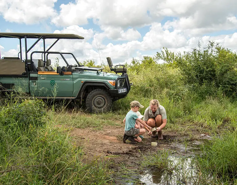 Children can head out with a ranger to learn about the little details in the bush. 