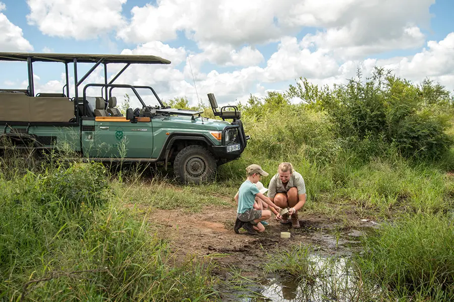 Children can head out with a ranger to learn about the little details in the bush. 
