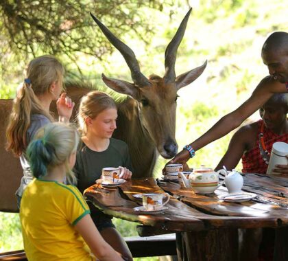 Lunch with the eland in Saruni Mara.