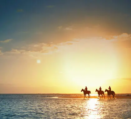 Disfrute de la belleza de la isla durante un paseo a caballo por la playa. 