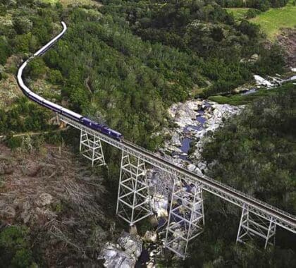 Nuestros viajes en tren más populares recorren la siempre pintoresca Sudáfrica.