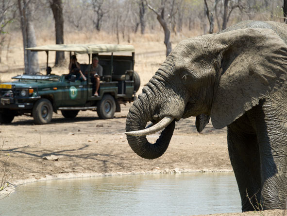Two nights in Malawi's Majete Reserve gives you plenty of time to enjoy both day & night game drives.