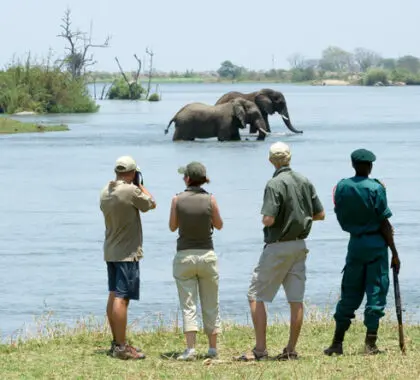 A private concession setting means you'll add guided walks to your list of safari activities.