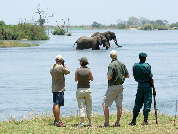 A private concession setting means you'll add guided walks to your list of safari activities.