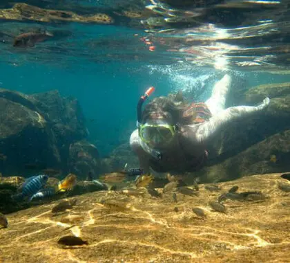 Lake Malawi's warm, clear waters offer a snorkelling experience very much like that of a tropical reef!