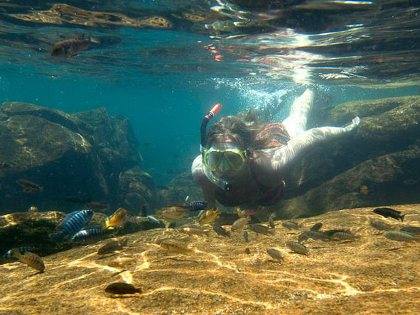 Lake Malawi's warm, clear waters offer a snorkelling experience very much like that of a tropical reef!