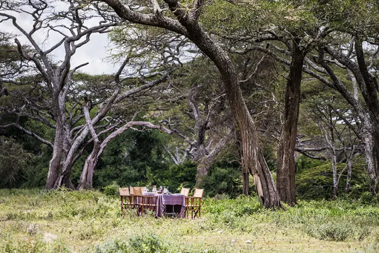 Bush dining.