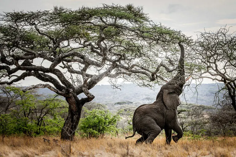 Incredible sightings.