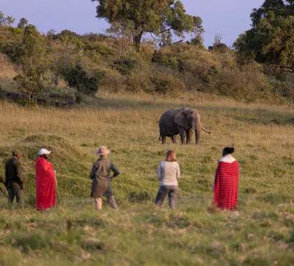 Maasai-Mara-guided-walk