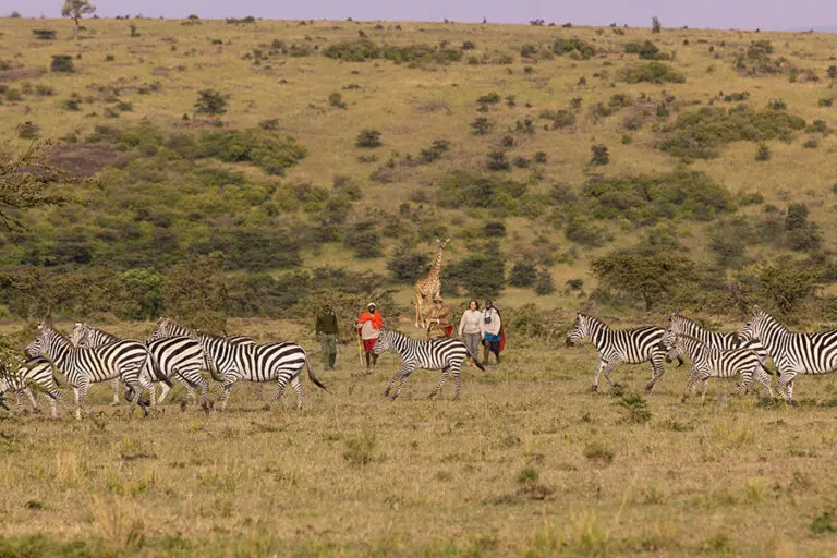 Kicheche Mara guided walk.