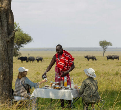 Maasai-Mara---picnic-breakfast-in-the-bush-(2)