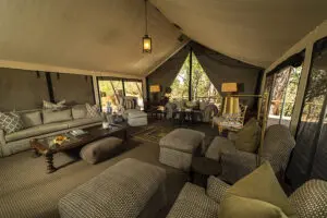 Main guest area. 