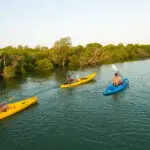 Explore the scenic estuary with a guided kayaking excursion.