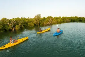 Explore the scenic estuary with a guided kayaking excursion.