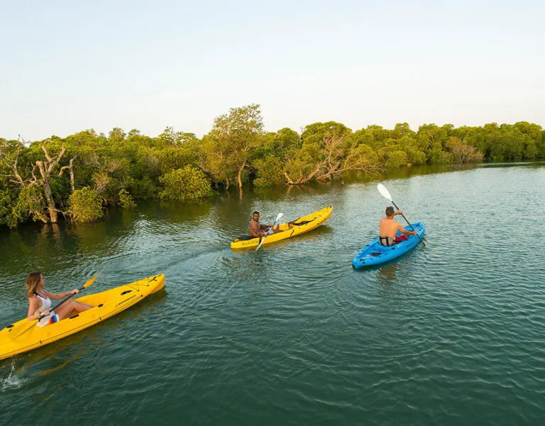 Explore the scenic estuary with a guided kayaking excursion.