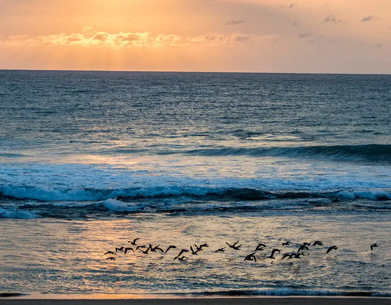 Secluded beaches & Indian Ocean sunsets make the lodge perfect for romance.