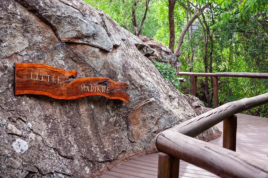 madikwe-hills-private-game-lodge-little-madikwe-01