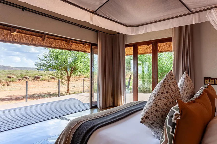 madikwe-hills-private-game-lodge-little-madikwe-19