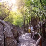 Madikwe Hills is set on a rocky outcrop and built to naturally incorporate the boulders. 