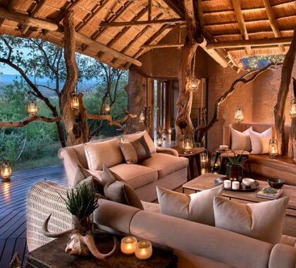 A modern ambiance amid distinctly African decor makes for a comfortable, welcoming safari.