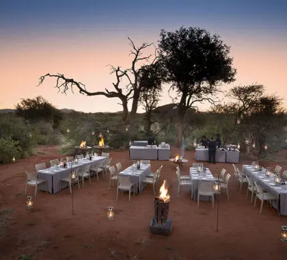 Disfrute de una cena bajo el cielo africano.