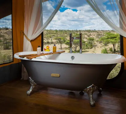 Elegantes cuartos de baño con impresionantes vistas. 