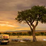 A bush dinner. 