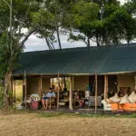 Lemala Ndutu tent experience.