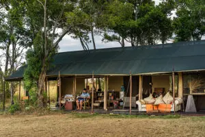 Lemala Ndutu tent experience.