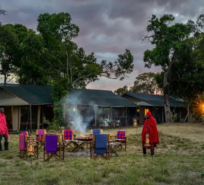 Lemala Ndutu_Main-Lounge-Area_1