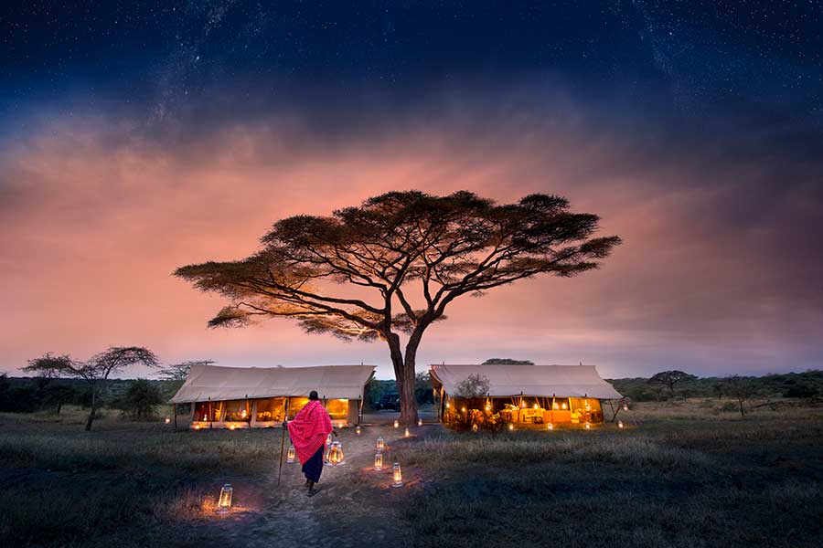 A guide walks along a sand walkway lit by lanterns at twilight towards a large tree with two lantern-lit tented structures in the Serengeti | Go2Africa