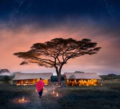 Exterior de Serengeti Under Canvas.