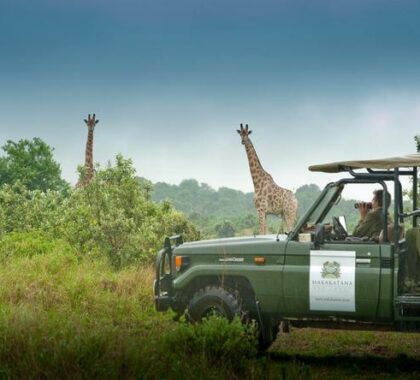 Game drives are a fantastic way of discovering the reserve - including spotting some big game!
