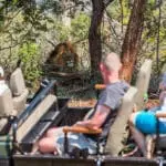 Learn more about african wildlife while going on a game drive.
