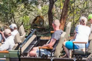 Learn more about african wildlife while going on a game drive.
