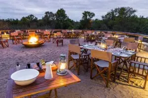 Boma dinners.