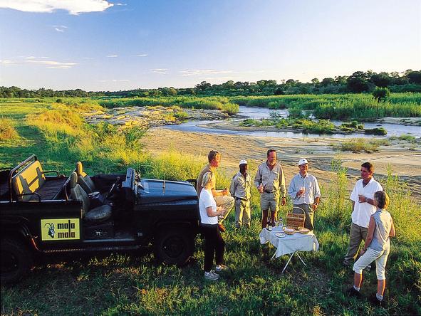 Experience the thrill and exhilaration of encountering 'The Big Five' animals in an open Land Rover.