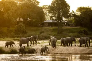 The lodge overlooking the seasonal Sand River