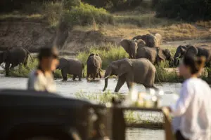 Game drives at Rattray's